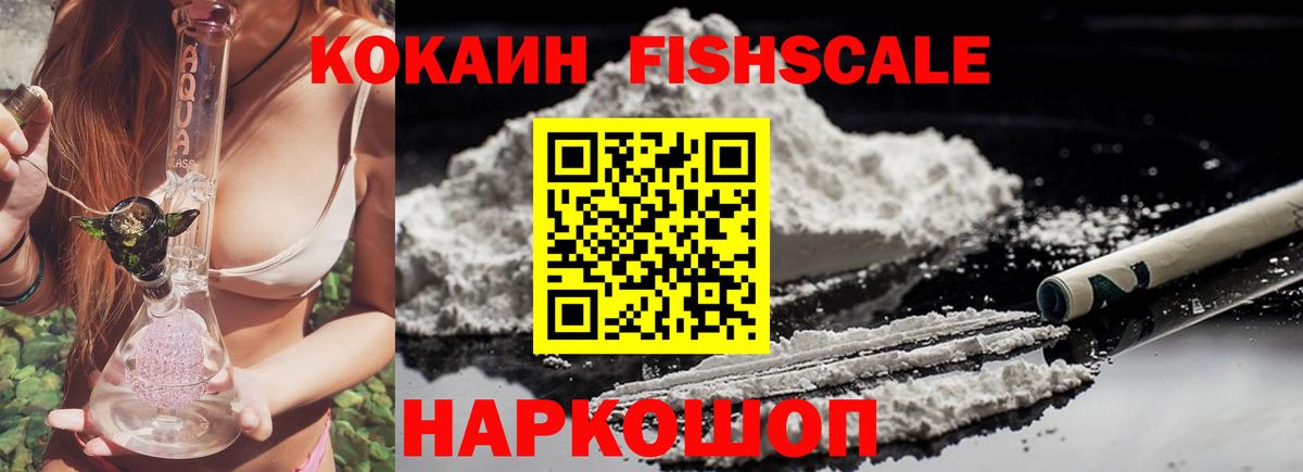 COCAIN Fish Scale  Кокаин Эквадор  COCAIN  Пугачёв  Вход с VPN 