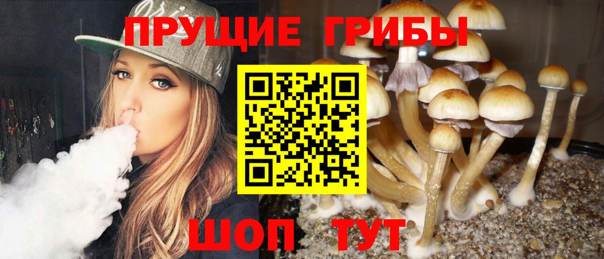 Галлюциногенные грибы Cubensis Пугачёв