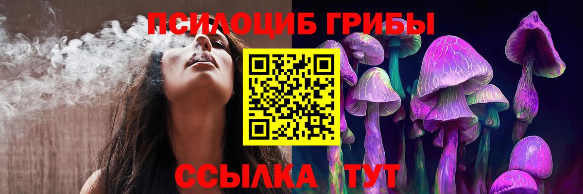 Пугачёв  Псилоцибиновые грибы Psilocybe  где купить наркоту  Вход с VPN  Галлюциногенные грибы Magic Shrooms 